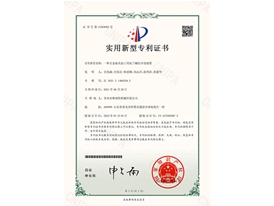 Patent